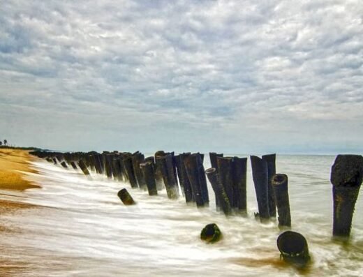 Auroville Beach