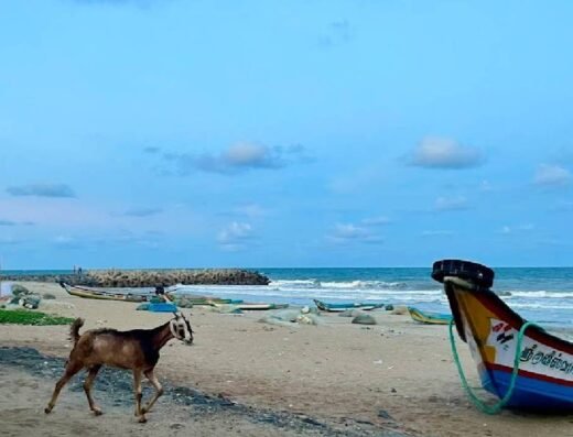 Luna Beach