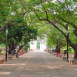 Bharathi Park Puducherry