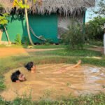 Time Travellers Hostel#