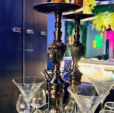 Wild Monkey Nightlife