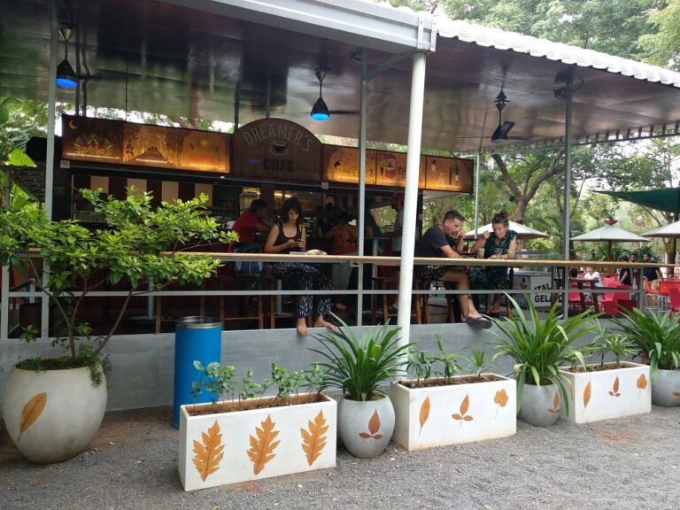 Auroville Dreamer’s Café​