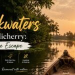 Backwaters of Pondicherry