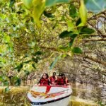 Mangrove Forest Boating