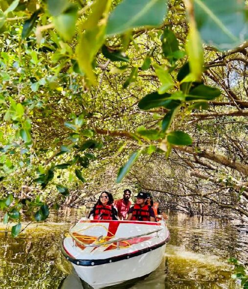 Mangrove Forest Boating