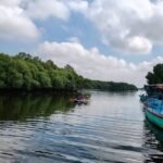 Mangrove Kayaking Pondicherry (2)