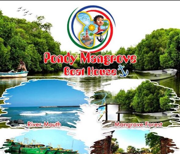Pondy Mangrove Forest Boating