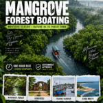Mangrove Forest Boating Pondy Marine Drive