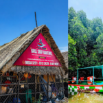 Bull Ship Boating | Mangrove Forest Boating Pondicherry